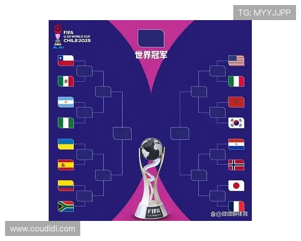 阿根廷世界杯小组赛积分风云与晋级前景解析全面回顾与未来走势观察